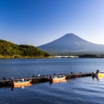 Thumbnail of post image 199