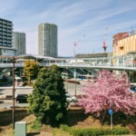 Thumbnail of post image 063