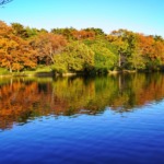 Thumbnail of post image 068