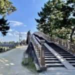 Thumbnail of post image 164