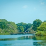 Thumbnail of post image 000