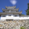 Thumbnail of related posts 164